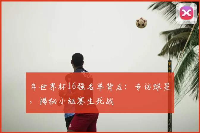 年世界杯16强名单背后:专访球星,揭秘小组赛生死战