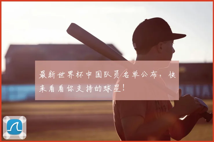 最新世界杯中国队员名单公布,快来看看你支持的球星!