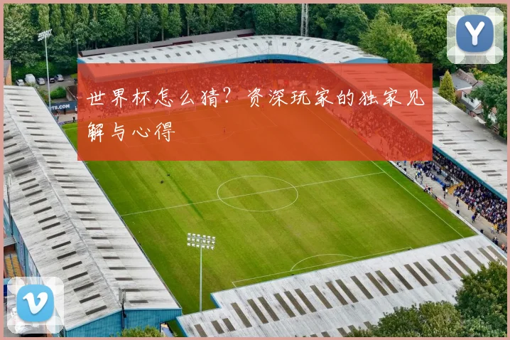世界杯怎么猜?资深玩家的独家见解与心得