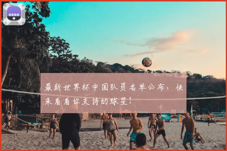 最新世界杯中国队员名单公布,快来看看你支持的球星!