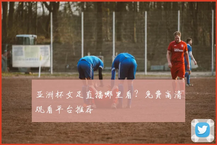 亚洲杯女足直播哪里看？免费高清观看平台推荐
