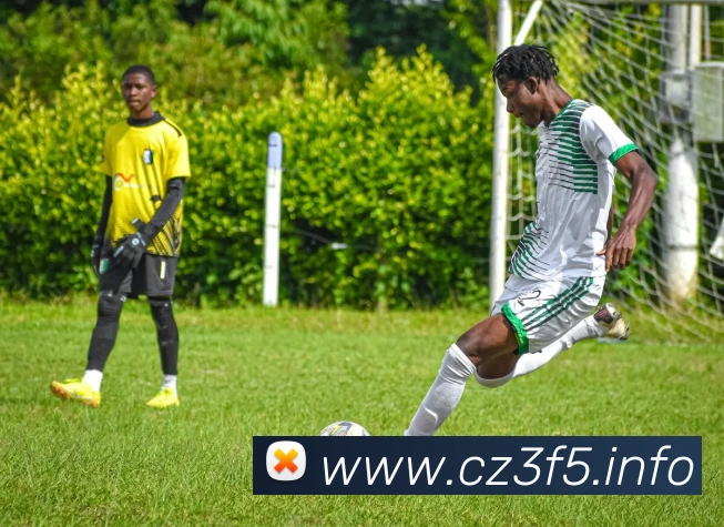 九游官网在线发展历程